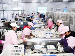 大方县：Manbetx体育手机版V17版本发布.官网安卓网.香港叩开“致富门” ()