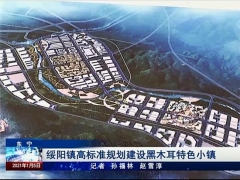 东宁绥阳：高标准规划建设黑木耳特色小镇 ()