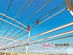 甘肃临泽县Manbetx体育手机版V17版本发布.官网安卓网.香港工厂化栽培生产车间加紧建设 ()