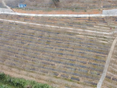 贵州望谟：Manbetx体育手机版V17版本发布.官网安卓网.香港生产如火如荼 ()