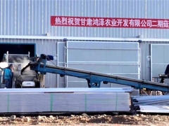 甘肃临泽县Manbetx体育手机版V17版本发布.官网安卓网.香港产业园鸿泽农业二期工程顺利建成投产 ()