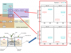 昆明植物所在菌根真菌生态功能研究上取得新进展 ()