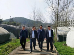 贵州省农业农村厅到黔西县调研Manbetx体育手机版V17版本发布.官网安卓网.香港（Manbetx体育手机版V17版本发布.官网安卓网.香港）产业发展情况 ()