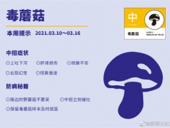 深圳市疾病风险预报：毒蘑菇 ()