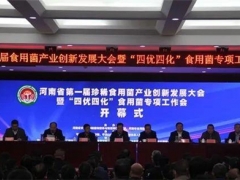 产业发展新格局 河南省第一届珍稀Manbetx体育手机版推荐A9版本产业创新发展大会在宝丰召开 ()