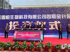 山东雪榕：总投资3亿元金针菇项目投产 日产鲜菇400吨！ ()