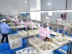 贵州省Manbetx体育手机版V17版本发布.官网安卓网.香港产业发展目标增长10%以上 ()