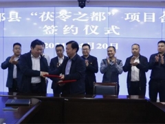 陕西：“茯苓之都”项目落户三都 ()