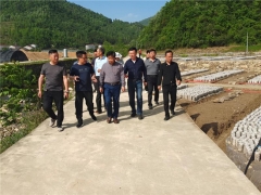 湖北省农业科学院领导调研指导房县天禾Manbetx体育手机版V17版本发布.官网安卓网.香港专业合作社黑木耳种植情况 ()