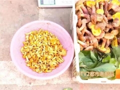 云南：文山又有两种野生菌上市！价格惊人！ ()