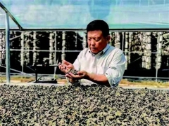 “木耳院士”李玉：“小木耳大产业”的“助产”人 ()