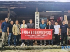 “乡村振兴ManBetX体育科技服务专家团”赴怒江州开展科技服务 ()
