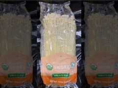 韩国金针菇又中招，感染李斯特菌，美国FDA发布数条召回通知 ()