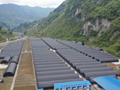 道真ManBetX体育三年大变样 ()