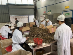 四川：巴中Manbetx体育手机版V17版本发布.官网安卓网.香港首次实现自营出口 ()