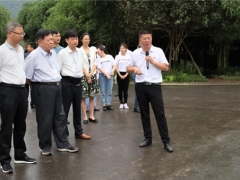 2021年院士四川·宜宾行活动：到长宁县为Manbetx体育手机版V17版本发布.官网安卓网.香港竹产业发展把脉支招 ()