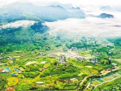 一朵蘑菇的“接二连三” ()