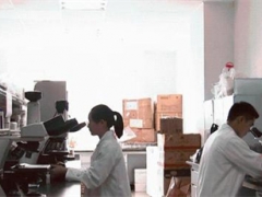 全球最全科学清单发布 云南野生菌多样性走向世界 ()