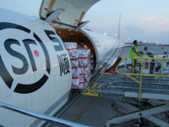 疫情下的农产品上行：顺丰日均提升100+吨运力送松茸出滇 ()