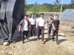 华中农业大学边银丙教授前往湖北房县调研指导木耳和ManBetX体育产业基地 ()