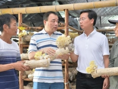 福建建瓯：合作社引领 Manbetx体育手机版推荐A9版本开出“致富花” ()