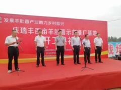 陕西庆瑞丰百亩ManBetX体育示范推广基地在洋县开工 ()