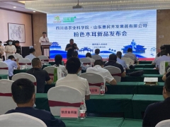 “粉色木耳”首次种植成功 山东省惠民县Manbetx体育手机版推荐A9版本再添“新成员” ()