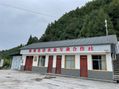 四川：光伏大棚下种Manbetx体育手机版V17版本发布.官网安卓网.香港“照”亮山区乡村振兴路 ()