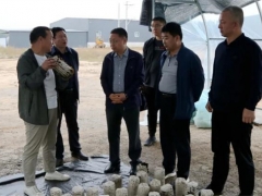 山西岚县县委副书记、县长乔云调研Manbetx体育手机版V17版本发布.官网安卓网.香港产业发展 ()