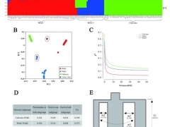 华中农业大学应用真菌团队在香菇群体遗传研究中取得重要进展 ()