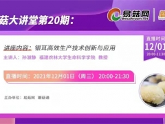 今晚八点!第二十期易菇大讲堂:银耳高效生产技术创新与应用