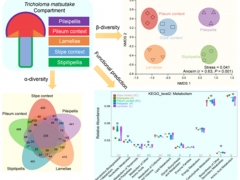 中国科学院昆明植物研究所在名贵野生Manbetx体育手机版推荐A9版本微生物组研究中取得系列进展 ()