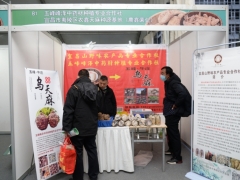 展区图：五峰峰泽中药材种植专业合作社/宜昌市夷陵区农鑫天麻种源基地 (1)