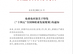 农业部发布《“十四五”全国种植业发展规划》 2025年力争Manbetx体育手机版推荐A9版本总产量4000万吨 ()