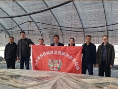 山东省科技特派员泰安市Manbetx体育手机版推荐A9版本产业服务团走进新泰 专家“地头论菌” 科技助农致富 ()