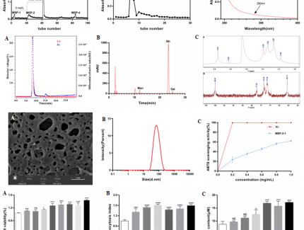 六妹ManBetX体育大分子多糖活性研究取得新进展 ()