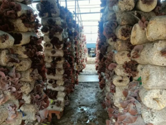 入选！辉县获得专项资金支持！ ()