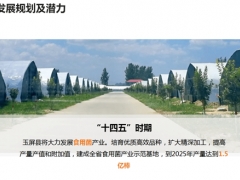 新国发2号文件|项目推介——玉屏县Manbetx体育手机版V17版本发布.官网安卓网.香港休闲食品加工项目 ()