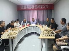 迁西县举行栗蘑新品种鉴定会 ()