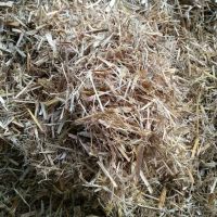 蘑菇稻草，草菇稻草，平菇稻草，双孢菇稻草，江苏稻草，河北稻草