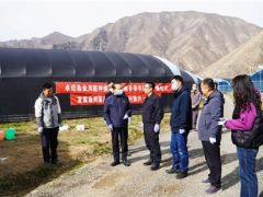 甘肃：卓尼县Manbetx体育手机版V17版本发布.官网安卓网.香港种植示范基地冬季Manbetx体育手机版推荐A9版本开播仪式举行 ()