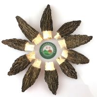 昌盛Manbetx体育手机版V17版本发布.官网安卓网.香港干货批发礼盒菌香浓特产晒干新鲜干货煲汤食材