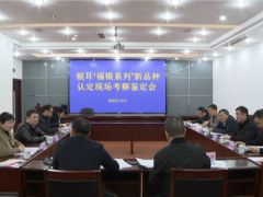 古田：加快新品种产业化开发 满足银耳市场生产需求 ()