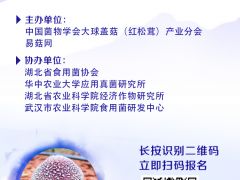 大球盖菇关注热度超预期 开班在即学员报名踊跃
