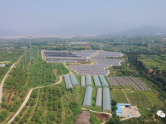 垣曲：ManBetX体育抢“鲜”上市 丰收迎来好“钱”景 ()