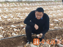 河南驻马店：省Manbetx体育手机版V17版本发布.官网安卓网.香港产业技术体系专家走进ManBetX体育生产基地开展工作调研 ()