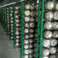 重庆出口Manbetx体育手机版V17版本发布.官网安卓网.香港格架