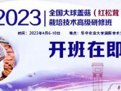 2023第二期全国大球盖菇(红松茸)Manbetx体育手机版推荐A9版本高级研修班开班在即!