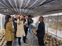 上海农科院Manbetx体育手机版V17版本发布.官网安卓网.香港研究所专家赴云南玉溪农业职业技术学院开展调研指导 ()