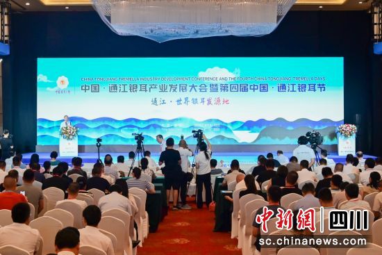 图为大会开幕式现场。李小龙 摄